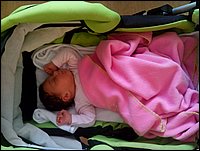 IMG_20141023_140303.jpg