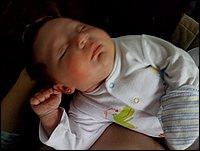 IMG_20141028_131626.jpg